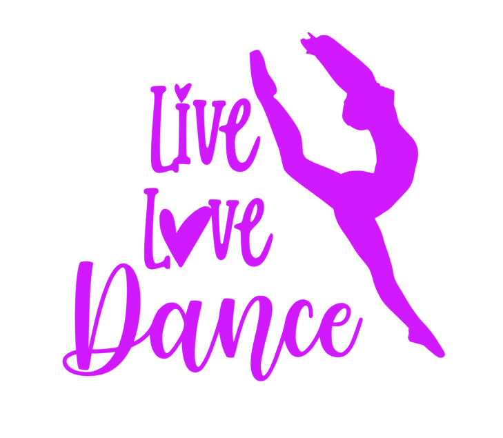 Dance Recital Cover Up