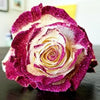 Glitter Rose Bouquet