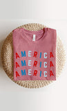 Red and Blue America Graphic Tee